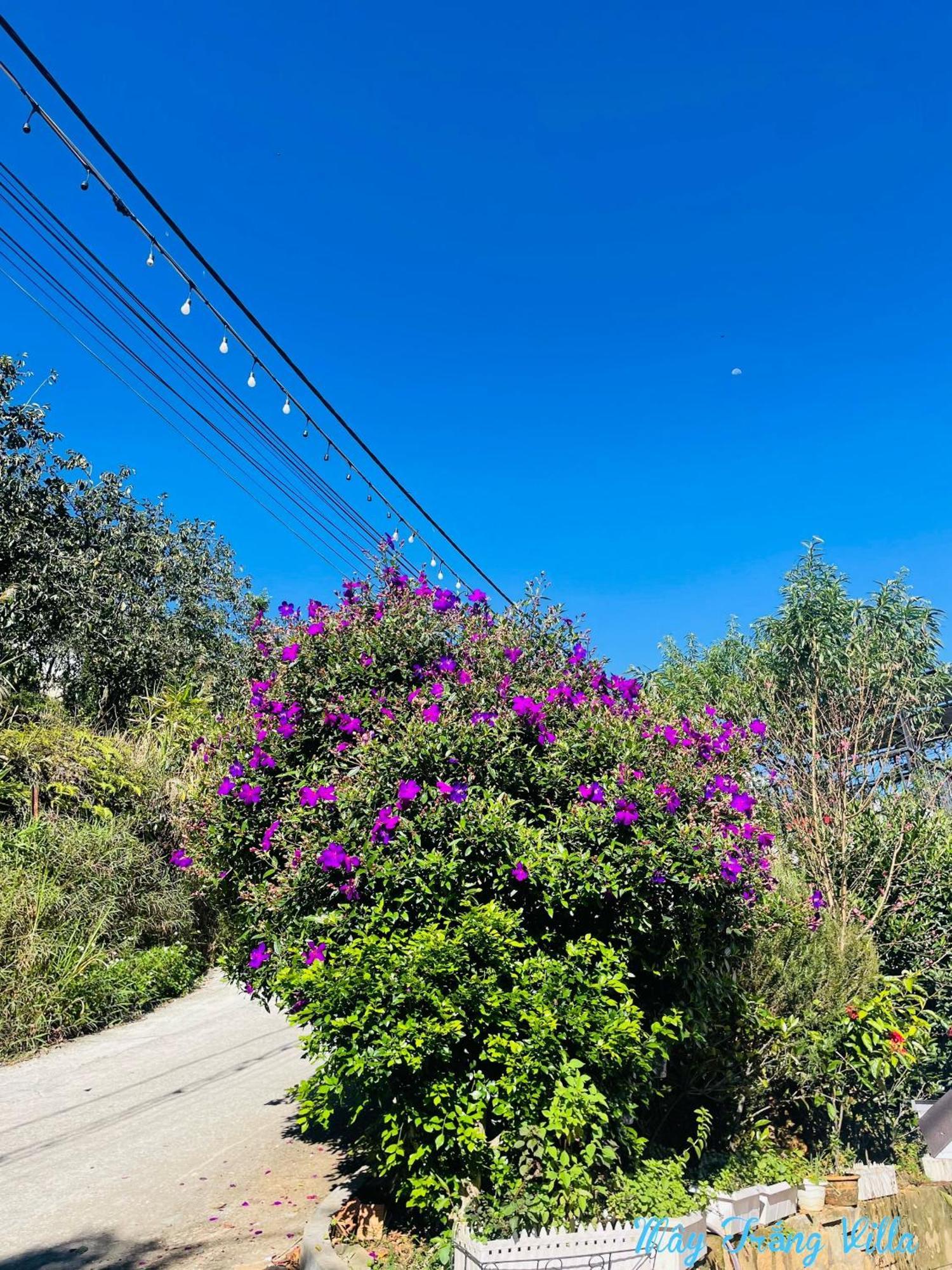 May Trang Villa 달랏 외부 사진